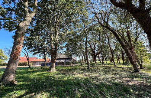 New Luxury barn with pool table nr southwold - Foto 3