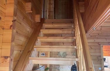 EL BOSQUE ENCANTADO - Photo 23