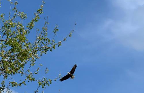 Private Tropical Waterfront Sanctuary w pool, hot tub & an island! Pet Friendly - Foto 26