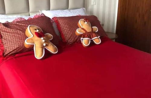 Hortênsiailedefrance - Foto 33