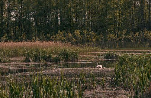 Swobodna 6 - Foto 56