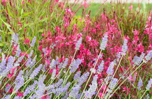 Dimensione Armonica - Elegance and comfort among lakes and hills - Foto 32