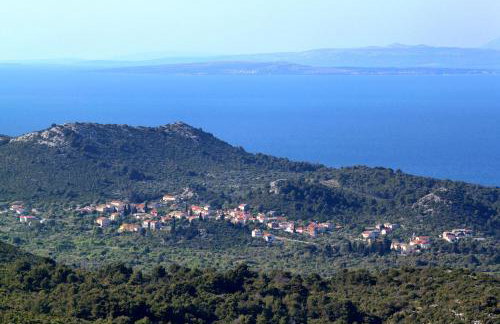 Apartments by the sea Lukoran (Ugljan) - 17391 - Foto 14