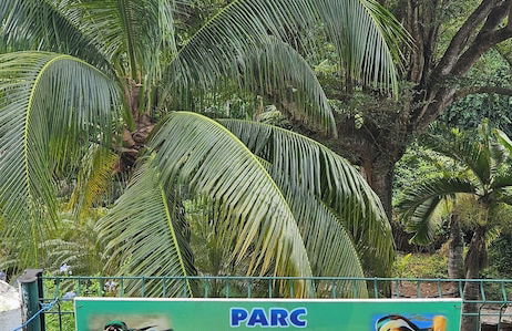 Aparthotel in Le Diamant with swimming pool and garden - Foto 22