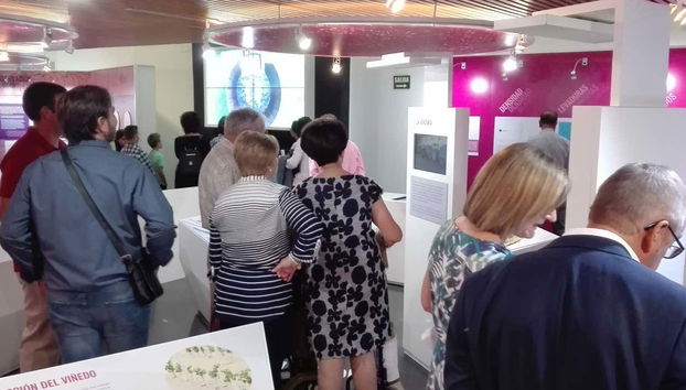 Recorriendo las salas del museo