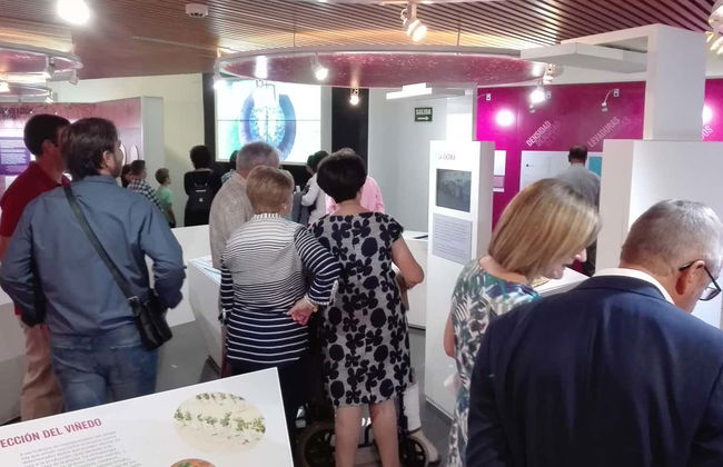 Visite guidée du musée Torre del Vino - Photo 4