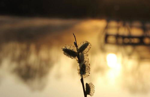 Gästehaus „Bei Emmi“ - Foto 26