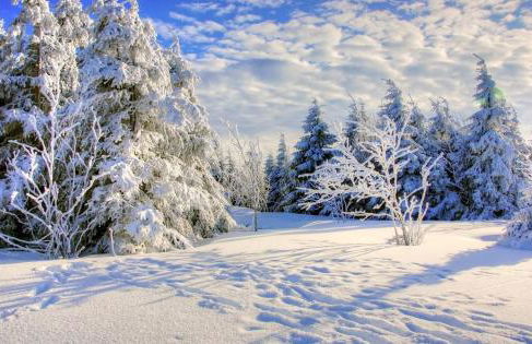 Residence Nube D'Argento - Foto 29