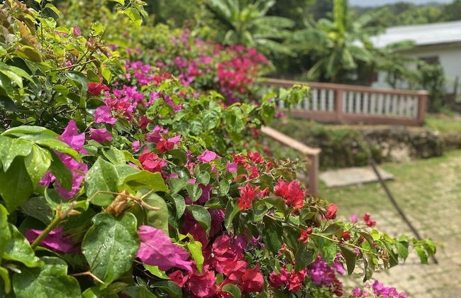 YanceyLargo-6BR Two-Story Estate w/Mountain Views by RedAwning - Foto 46