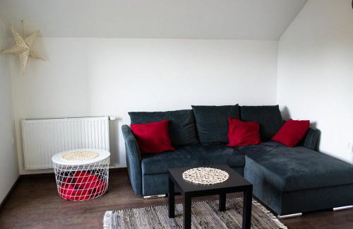 Kraljeva hiža - Apartmani i sobe Kralj - Foto 26