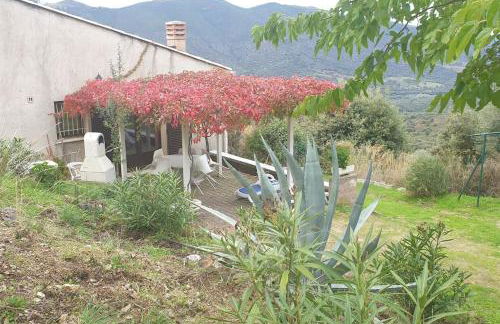 Vos vacances à Lama France Corse - Foto 12