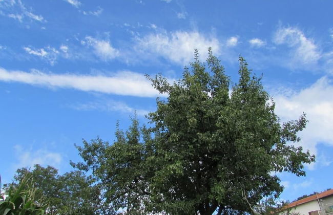 Agriturismo Mare e Monti - Foto 48