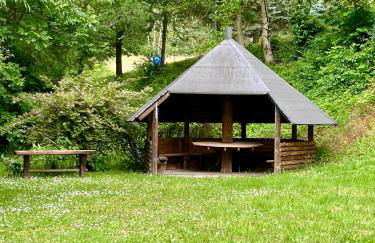 Aparthotel Tannenhof - Foto 31