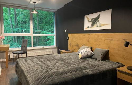 Apartament Kurort Kozubnik - Taras nad Potokiem - Foto 3