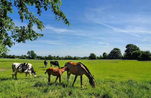 Doppelhaushaelfte Posthus, Behrendorf - Foto 36