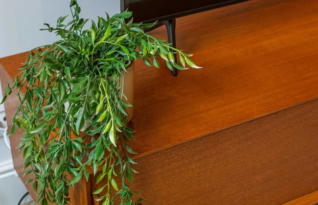 Modern Apartment on top Location in Antwerp - Photo 25