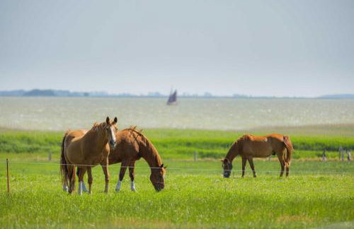 Luxus Loft am Müritzufer - Foto 17