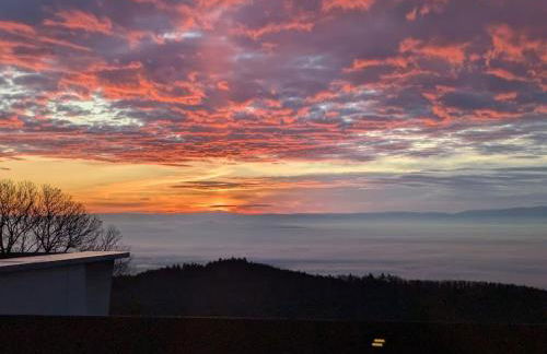 Les 3 Zepp - Foto 13