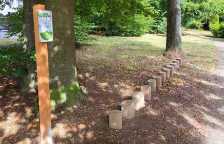 Ferienwohnung am Kurpark Ehlscheid - Foto 16