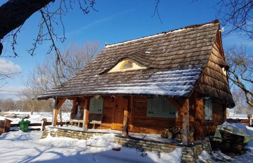 Jabłoniowy Sad Kalwaria Pacławska - Foto 4