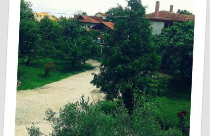 Guesthouse Adonis - Foto 77