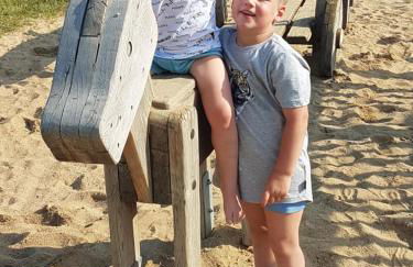 Pferdepension Jäger - Foto 22