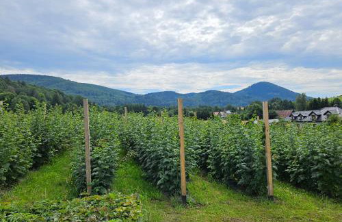 Apartament pod laskiem - Foto 21