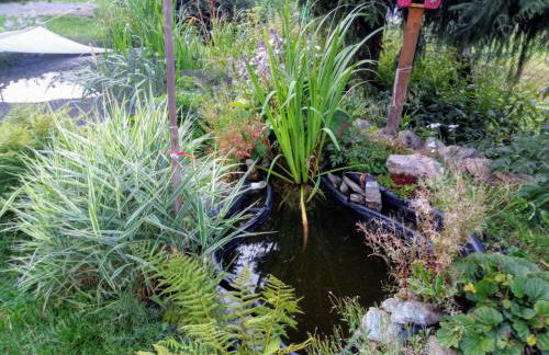 Ferienwohnung Rogowski - Foto 43