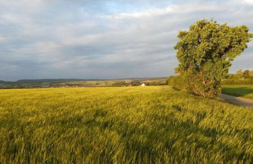 Am Turm Modern Retreat - Foto 13