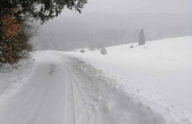 Olberówka - Foto 27