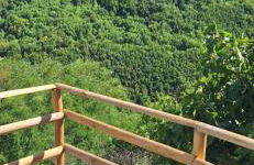 Libera Mente - Foto 56