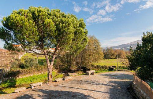 Casa do Loureiro 1 - Seia - Serra da Estrela - Foto 18