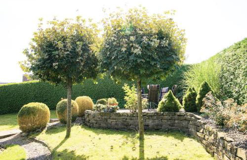 Holzhaus Hubertus mit Sauna und Kamin - Foto 25