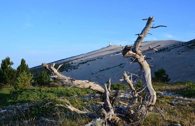 Village Vacances La Fontaine d'Annibal - Foto 53