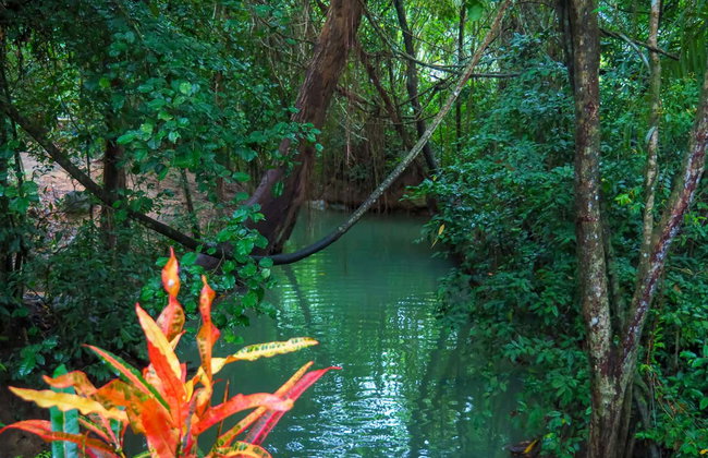 Krabi Kayak Tour - Foto 2