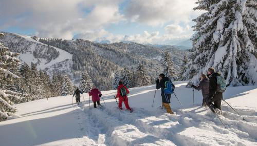 Edelweiss, Studio 5 pers, balcon sud est, vue sur les montagnes - Foto 2