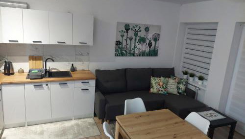 Apartament River Skierniewice - Foto 5