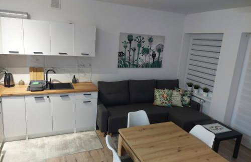 Apartament River Skierniewice - Foto 5