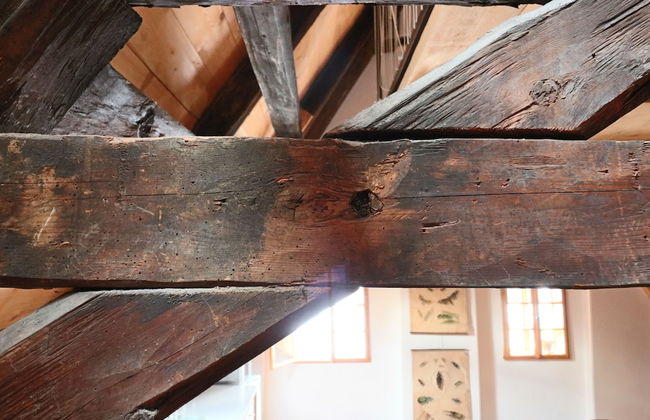 Apartment Soukenická 44 - Foto 44