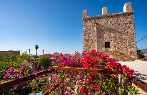 Pandera areopoli - Foto 19