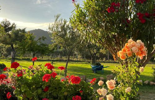 RusticHome - Foto 24