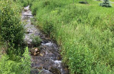 Apartamenty ARNIKA - Foto 61