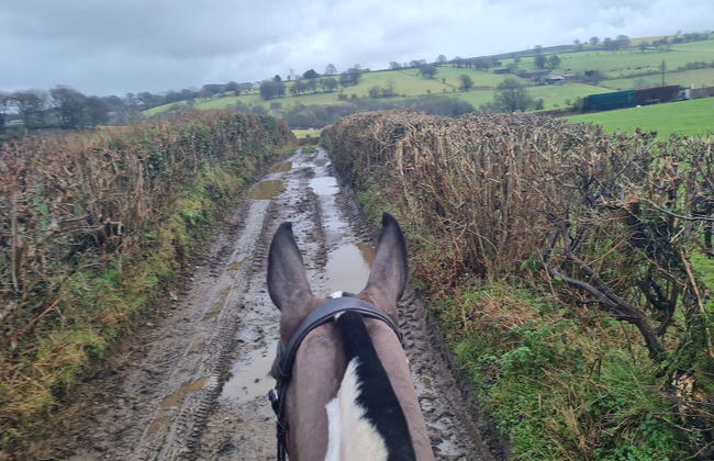 The Old Stables - Foto 17