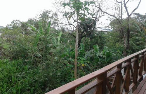 Pousada Catalina - Photo 35