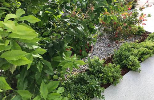 Sweet Dreams - Studio Apartment - Photo 6