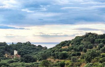 Gelbes Haus Korfu - Foto 36