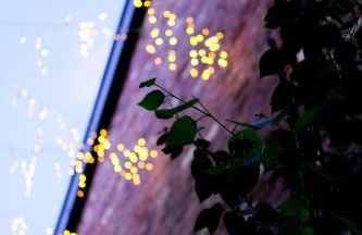 The Eden Warehouse - Pink Apartment (sleeps 4) - Foto 30