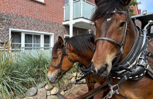 Endlich Theda - Photo 31