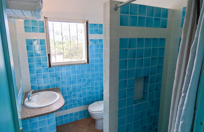 Mono 2 - Lu Nibareddu - Foto 8