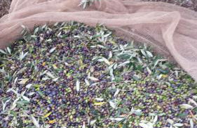 La Casa del Sole - Foto 12